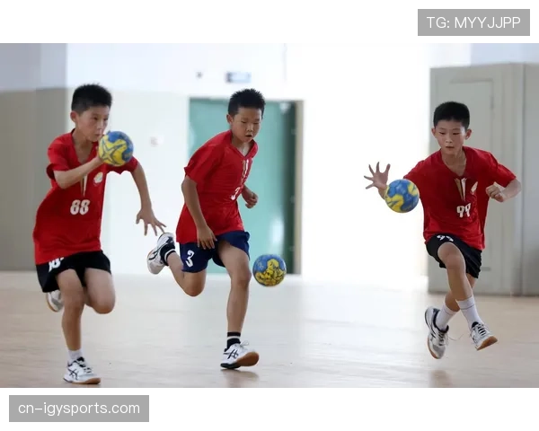 中国手球超级联赛新赛区战略布局分析：多元化发展推动运动普及